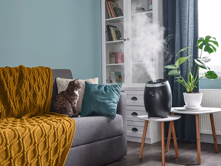 Humidifier mist output dial with low, medium, and high settings