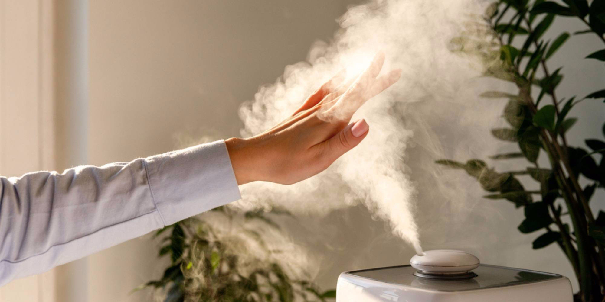 Your Complete Guide on What to Look for in a Humidifier