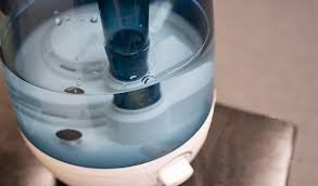 How to Prevent Mold Growth in a Humidifier: The Ultimate Guide