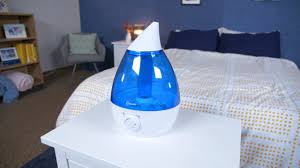 How to Clean a Crane Humidifier: The Ultimate Guide