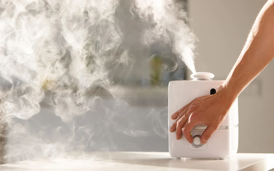 Aircare evaporative humidifier in a living room