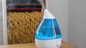 How to Disinfect a Humidifier From Mold and Bacteria Safely