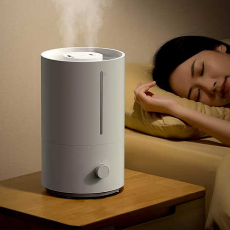 Humidifier in Summer: 5 Benefits for Your Home