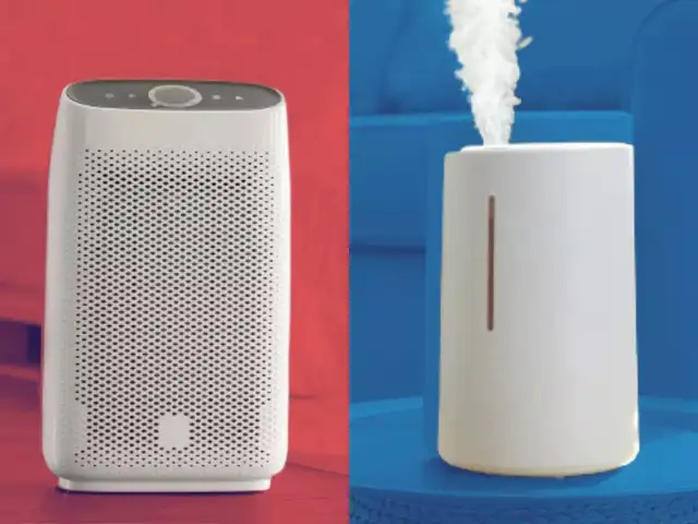 Can a Humidifier Cause Mold in a Room? The Expert Guide