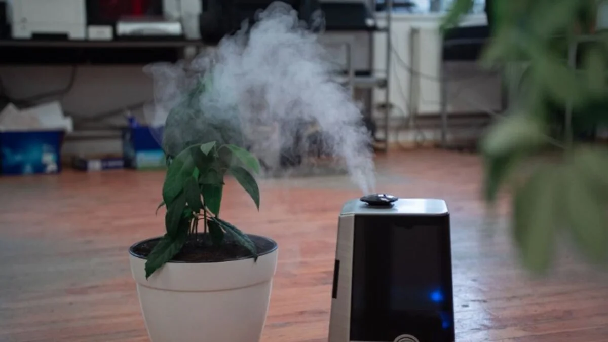 A modern cool mist humidifier operating in a cozy living room