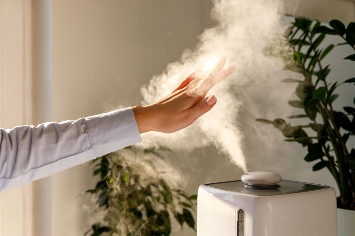 Are Expensive Humidifiers Worth It? 5 Key Benefits