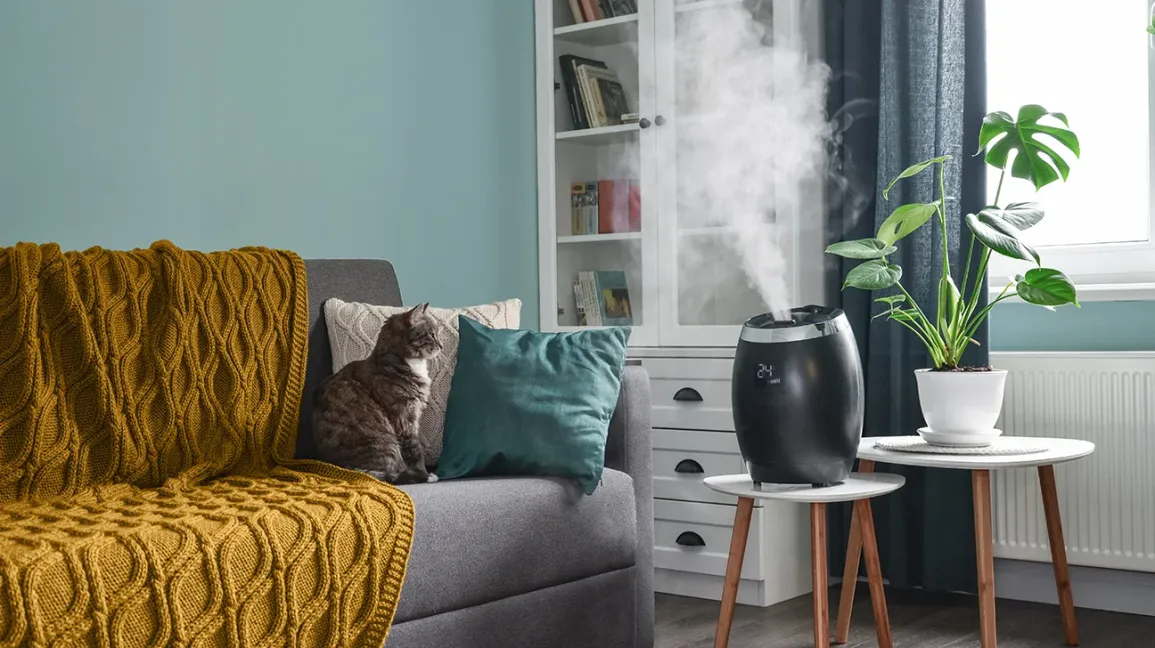 Your Guide to the Best Humidifier for Allergies and Sinuses