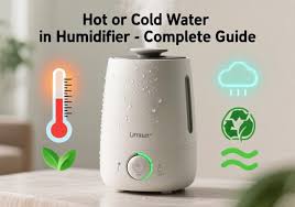 What Kind of Water to Use in a Humidifier: The Definitive Guide