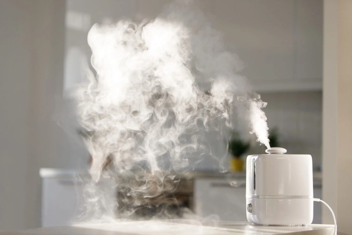 How to Find a Humidifier Model Number: Your Simple Guide
