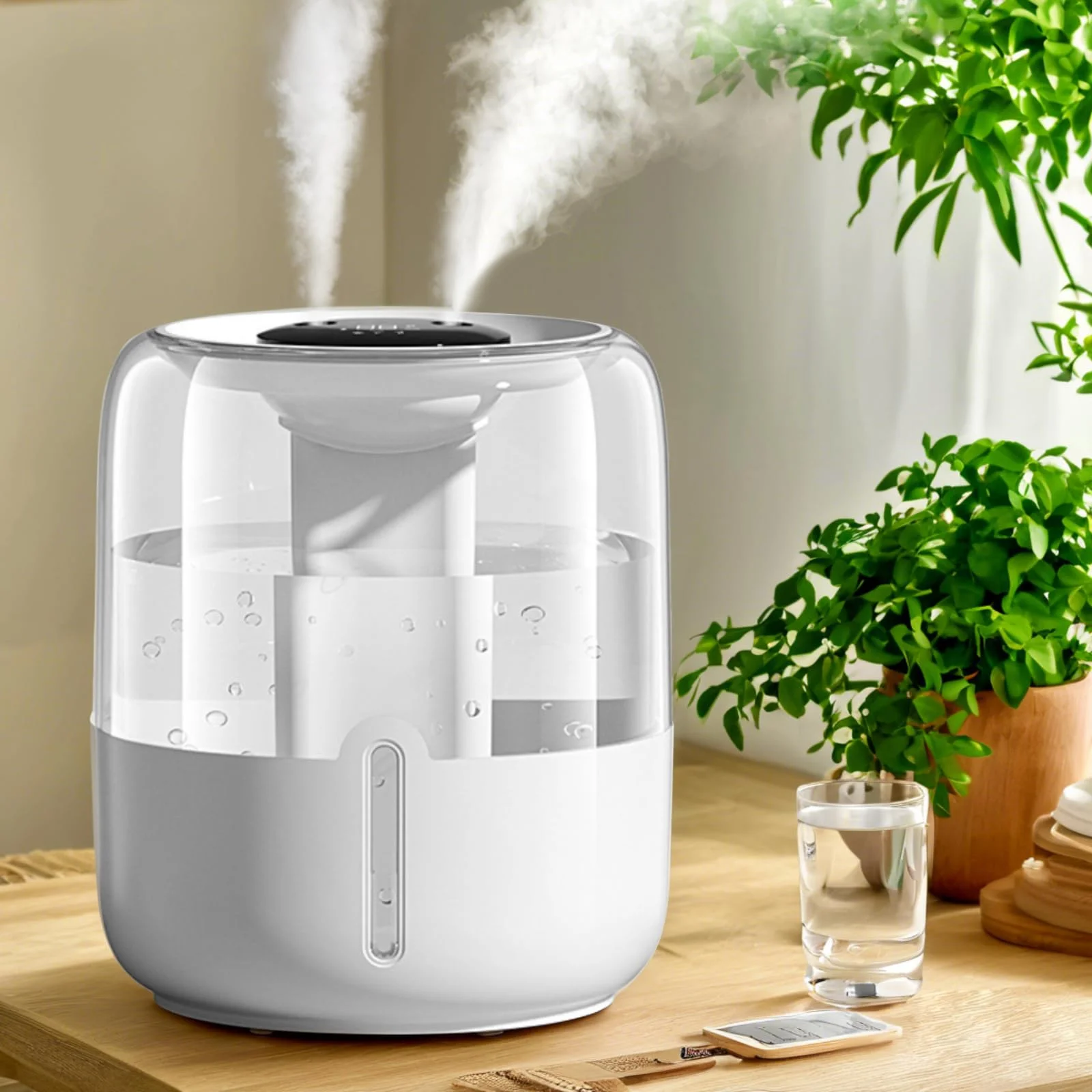Canopy humidifier with a plant and books
