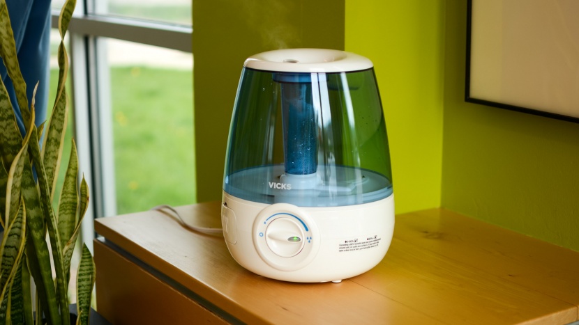 TaoTronics Humidifier Review: Is It Right for You?
